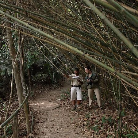 דאנגון Tanjong Jara Resort, Terengganu - A Small Luxury Hotels Of The World מראה חיצוני תמונה Bamboo forest in the park