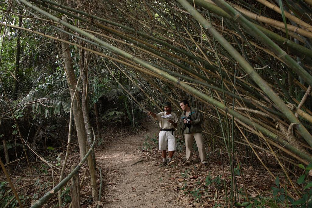 דאנגון Tanjong Jara Resort, Terengganu - A Small Luxury Hotels Of The World מראה חיצוני תמונה Bamboo forest in the park